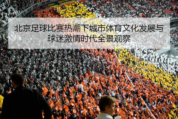 北京足球比赛热潮下城市体育文化发展与球迷激情时代全景观察