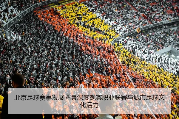 bei-jing-zu-qiu-sai-shi-fa-zhan-tu-jing-shen-du-guan-cha-zhi-ye-lian-sai-yu-cheng-shi-zu-qiu-wen-hua-huo-li-2-701.jpg
